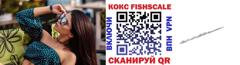Купить Губкин COCAIN Колумбийский
