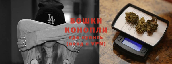 стаф Бронницы