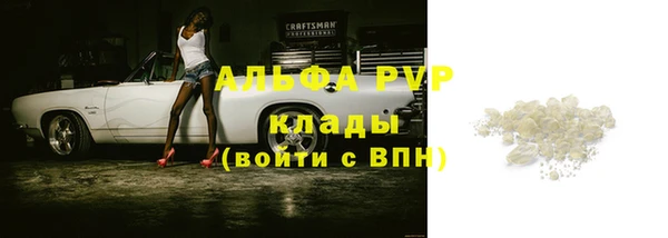 крисы Верхний Тагил