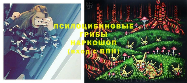 крисы Верхний Тагил