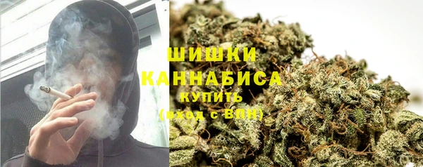 крисы Верхний Тагил