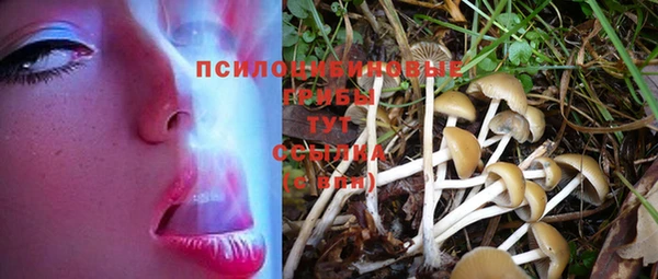 Альфа ПВП Бородино