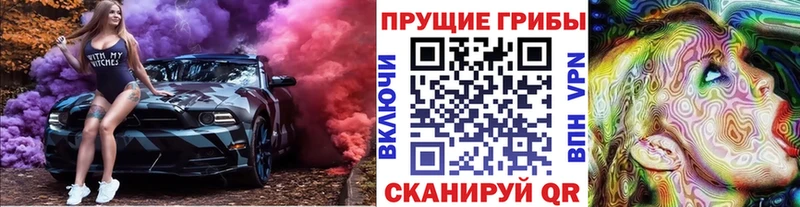 Галлюциногенные грибы Psilocybe  Купить закладки  Губкин 